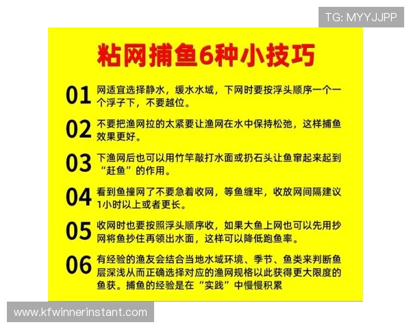 提升捕鱼技巧的实用指南：在K8捕鱼网投中轻松获胜的方法